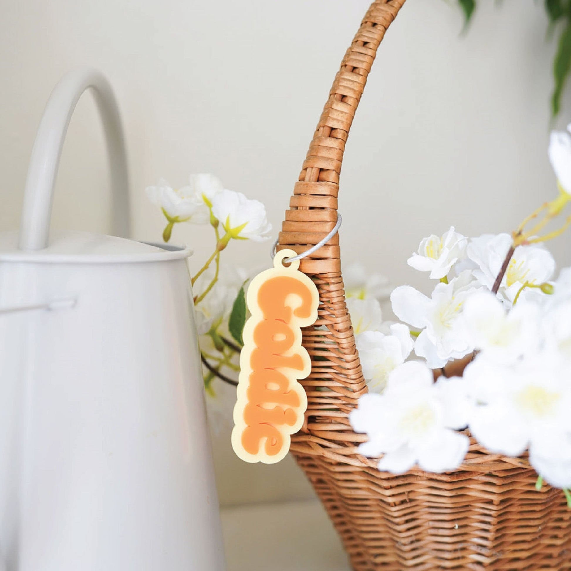 Acrylic Retro Name Bag Tag Birch Bar + Co.