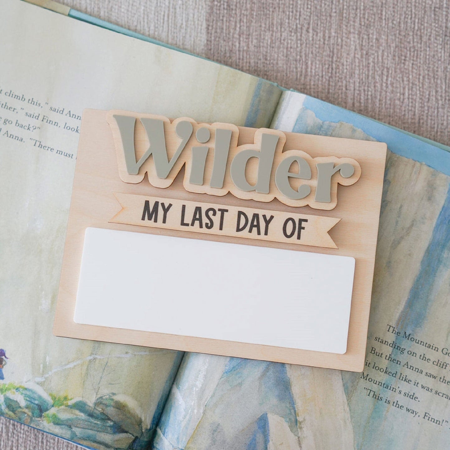 My First Day Of and My Last Day Of School Sign Birch Bar + Co.