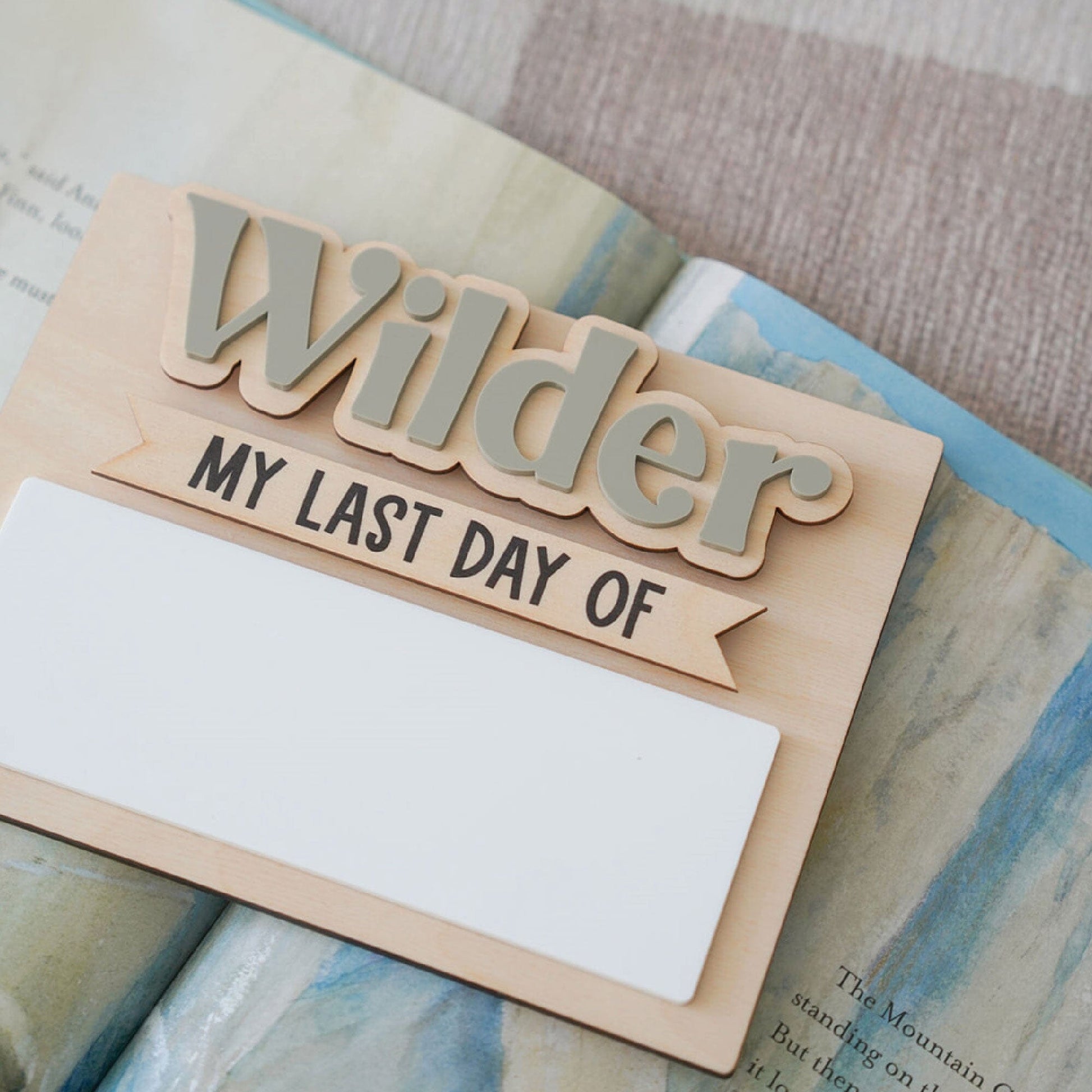 My First Day Of and My Last Day Of School Sign Birch Bar + Co.
