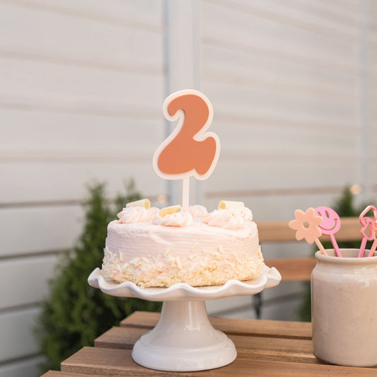Retro Number Acrylic Cake Topper Birch Bar + Co.