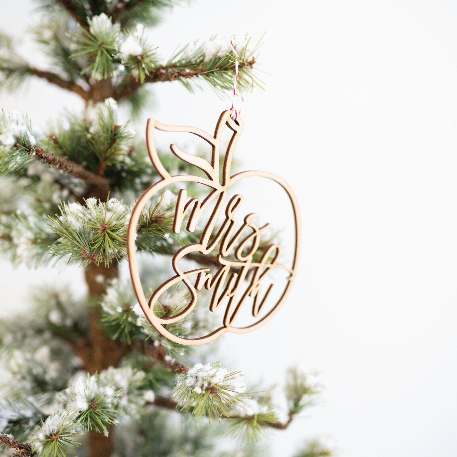 Teacher Apple Holiday Ornament Birch Bar + Co.