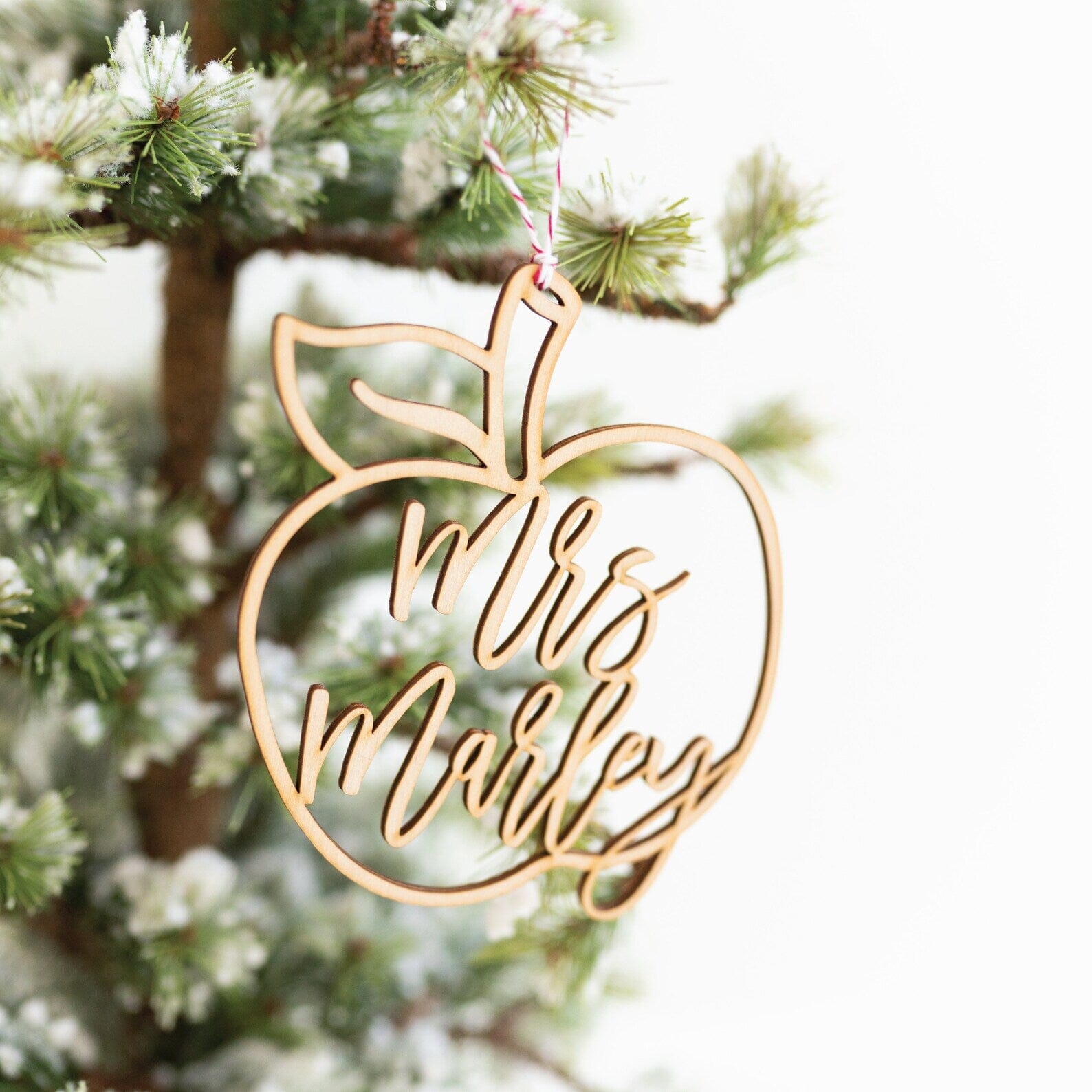 Teacher Apple Holiday Ornament Birch Bar + Co.