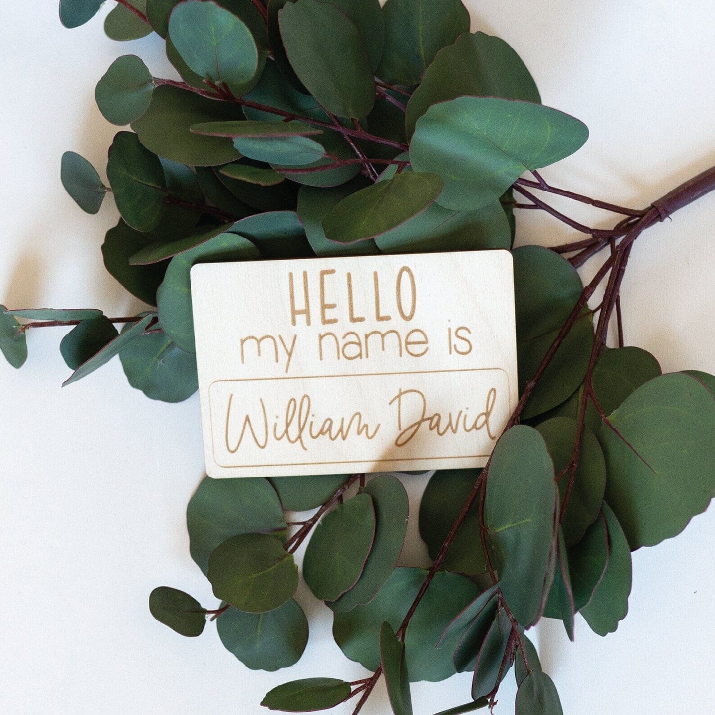 Engraved Hello My Name Is Sign for Baby Birch Bar + Co.