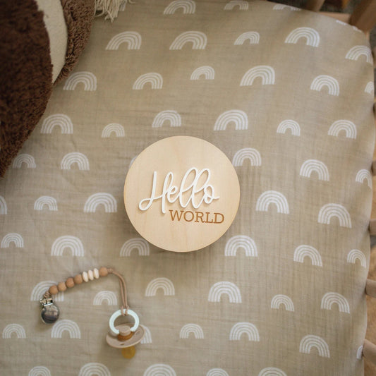 Hello World Baby Sign for New Baby Birch Bar + Co.