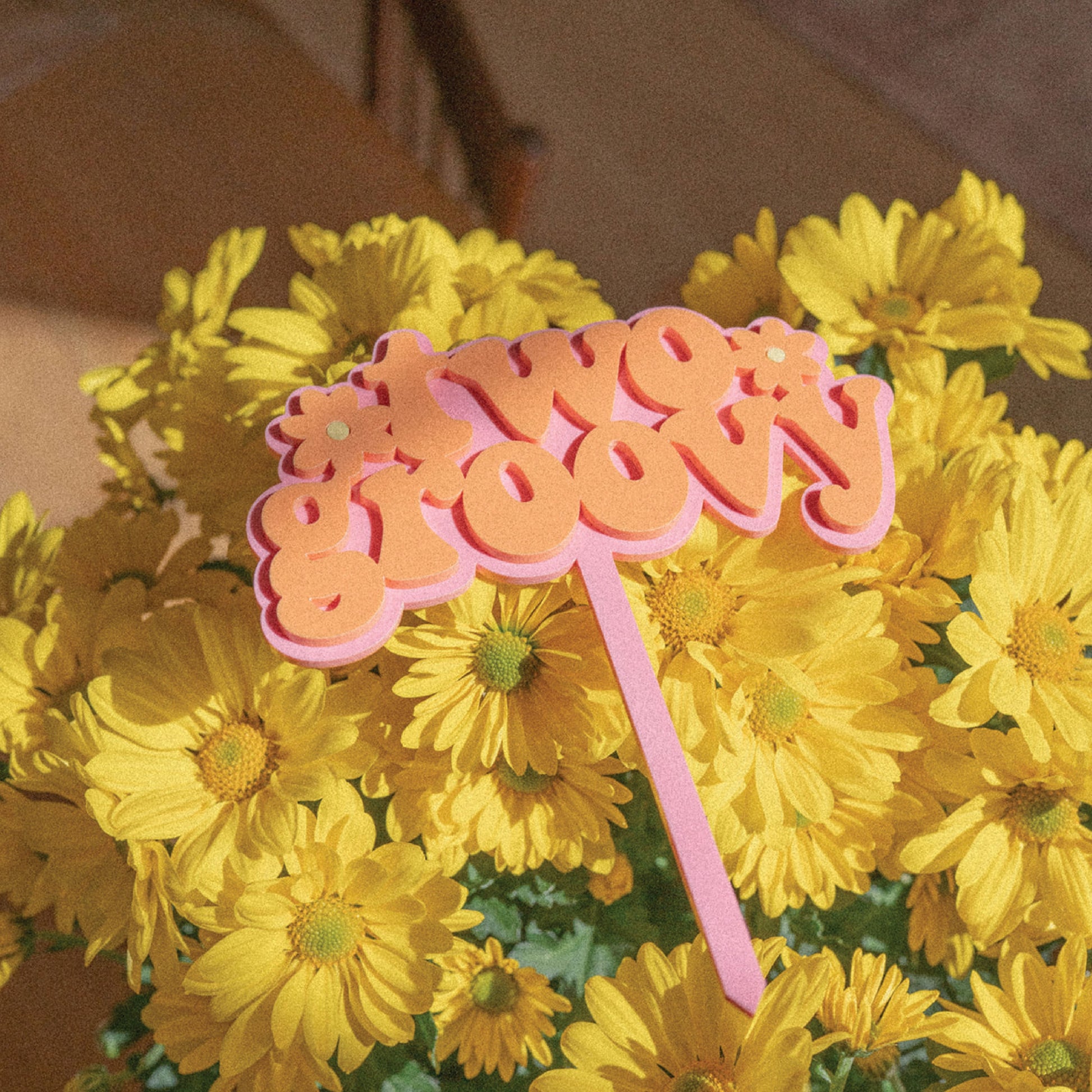 Two Groovy Acrylic Cake Topper Birch Bar + Co.