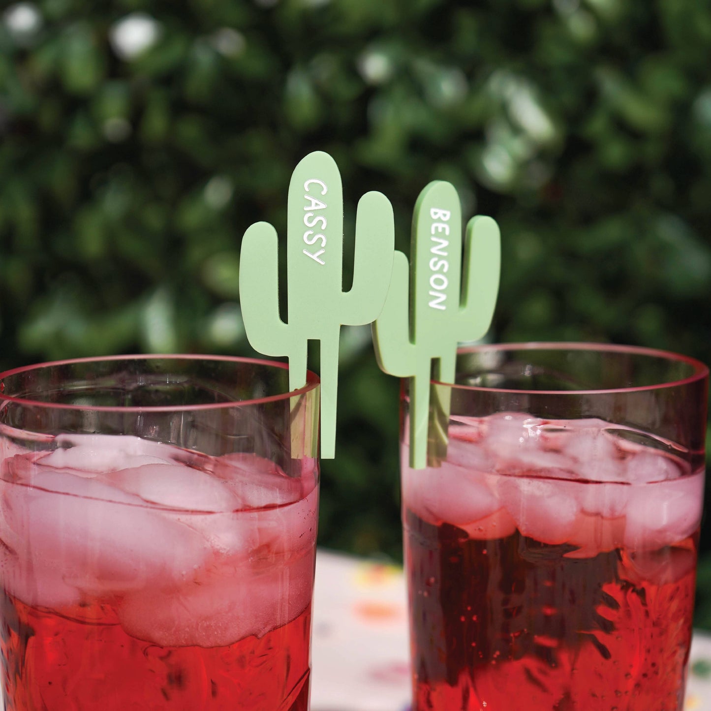 Personalized Cactus Drink Tags Birch Bar + Co. 
