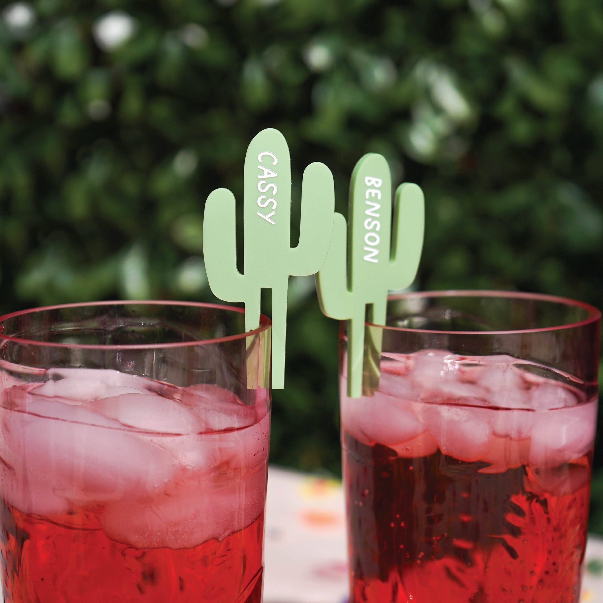 Personalized Cactus Drink Tags Birch Bar + Co. 
