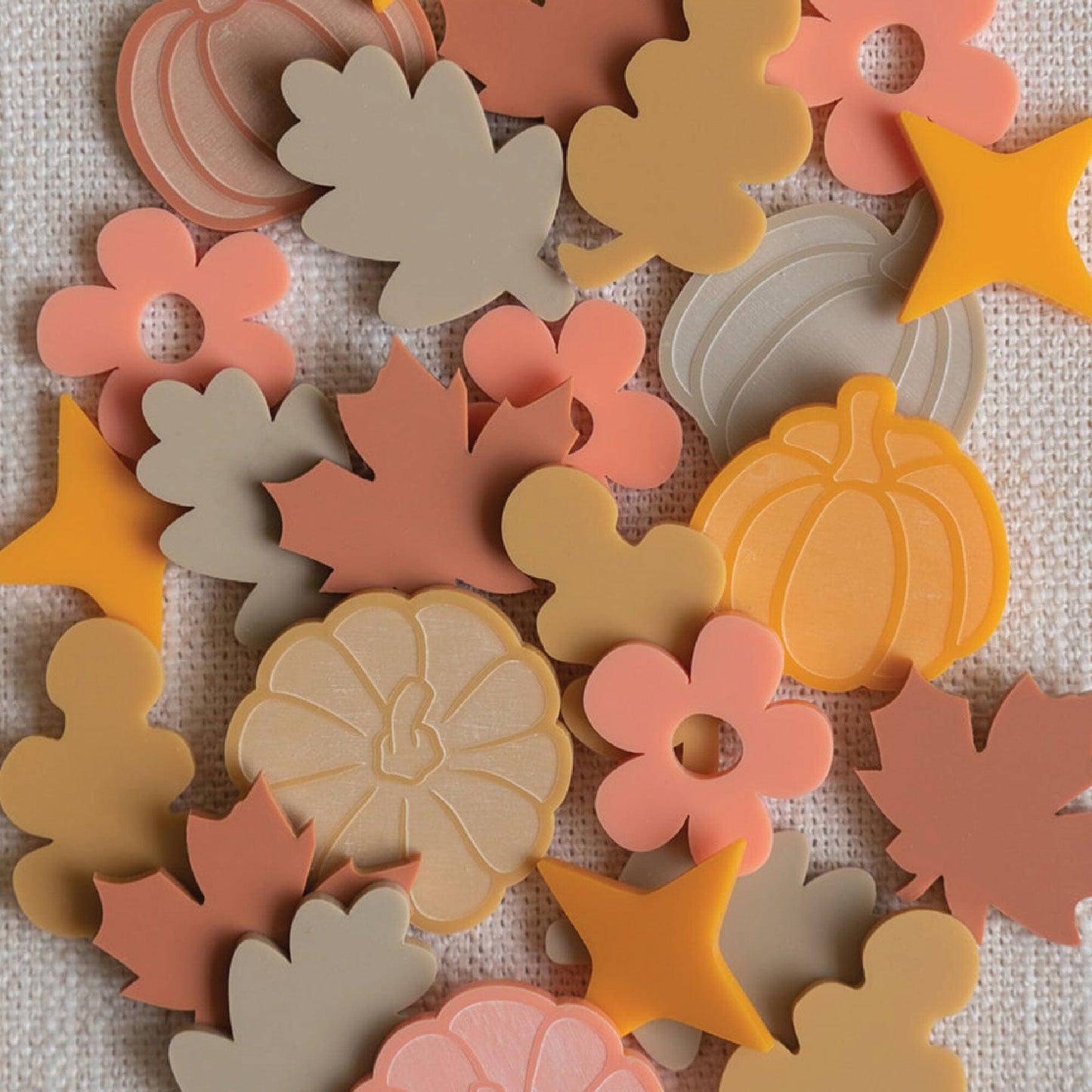 Extra Fall Pumpkin Themed Tokens for Reward Jars Birch Bar + Co. 