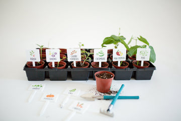 Garden + Plant Markers - Vegetables Birch Bar + Co. 