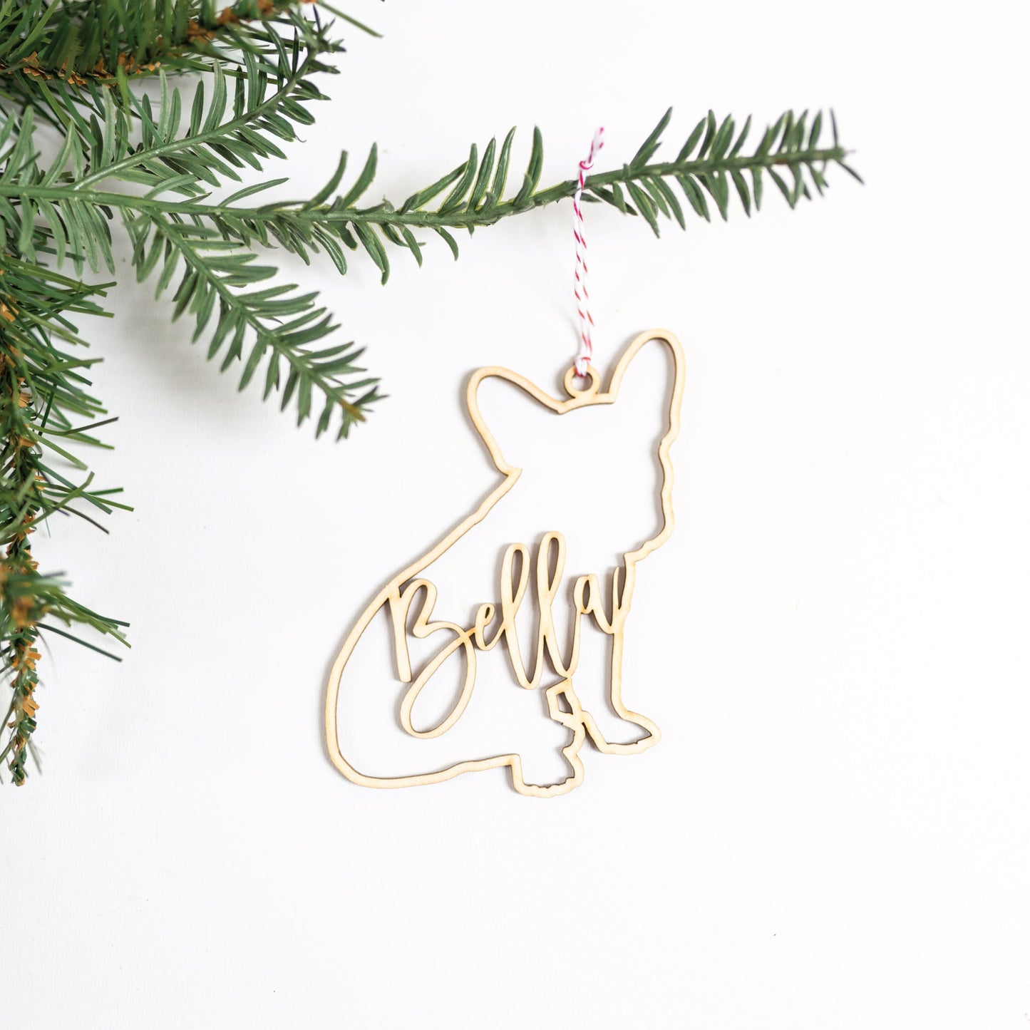 Personalized Holiday Pet Ornament Birch Bar + Co. 