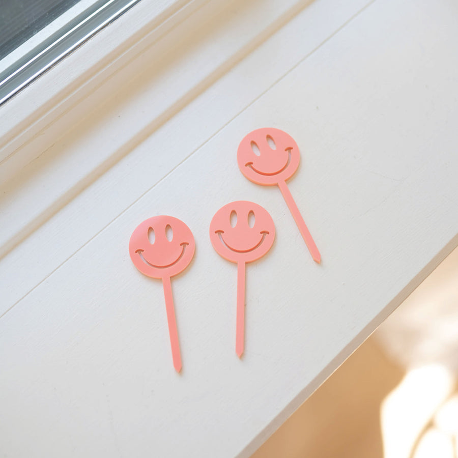 Smiley Face Acrylic Cupcake Toppers Birch Bar + Co. 