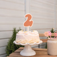 Retro Number Acrylic Cake Topper Birch Bar + Co. 