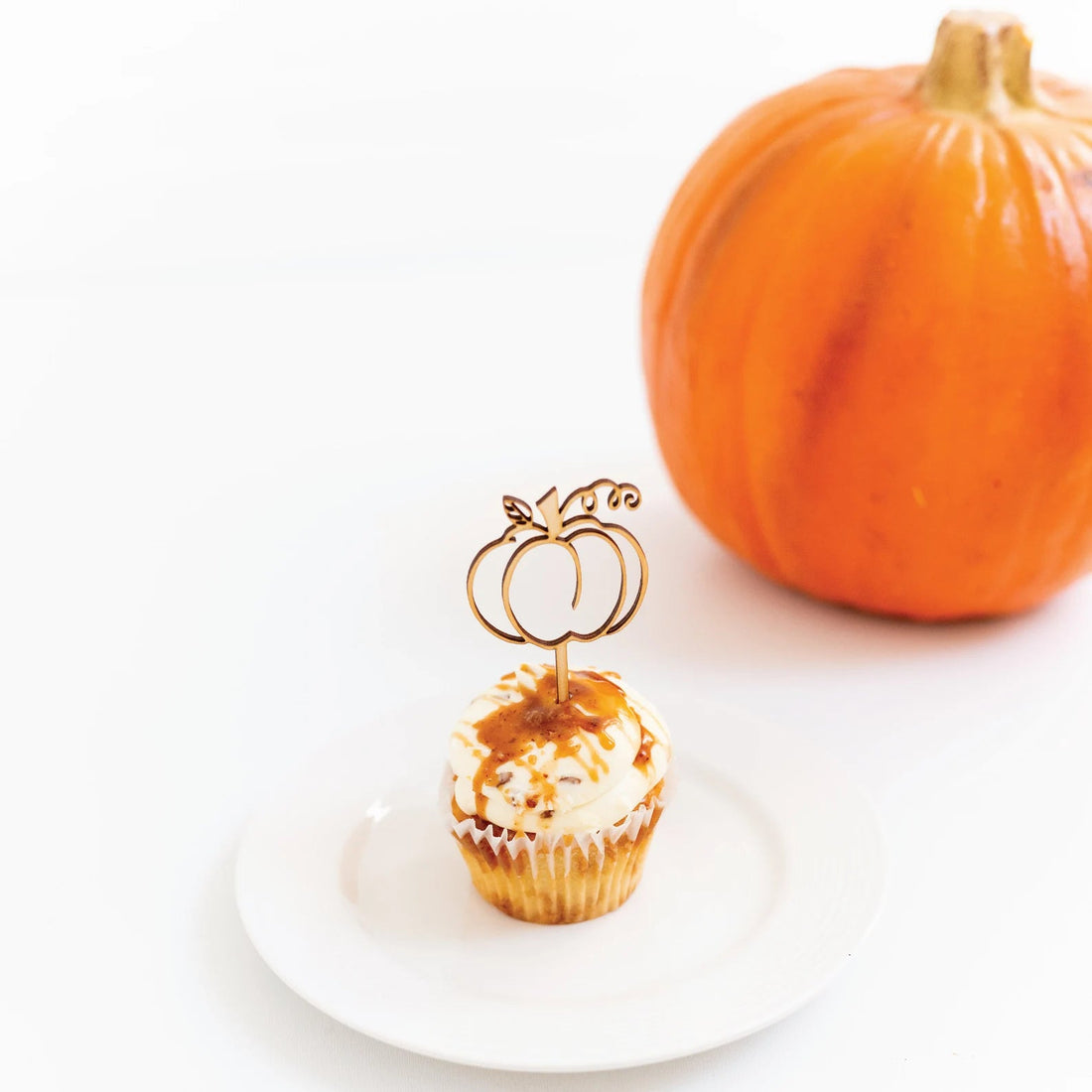 Pumpkin Wood Cupcake Toppers Birch Bar + Co. 