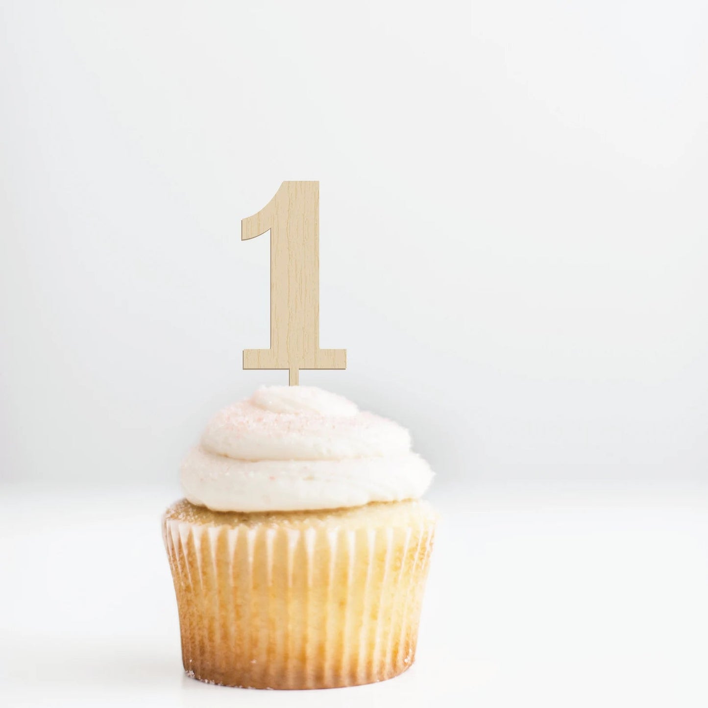 1st Birthday Wood Cupcake Toppers Birch Bar + Co. 