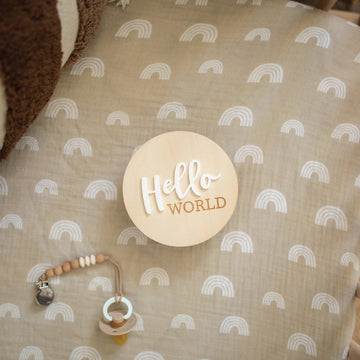 Hello World Baby Sign for Newborn Announcement Birch Bar + Co. 