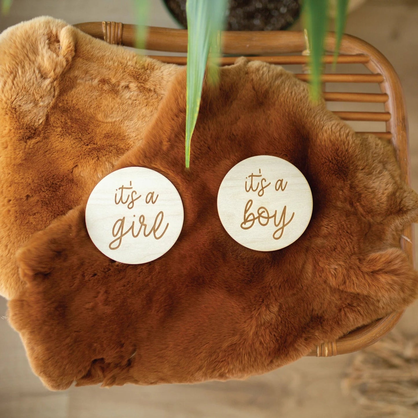 Engraved Boy + Girl Sign(s) or Both Birch Bar + Co. 